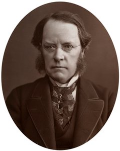 Right Hon Lyon Playfair, CB, LLD, FRS, skotský chemik a politik, 1877. od Lock and Whitfield