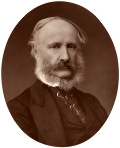 Sir James Macnaghten Hogg, Bart, MP, KCB, předseda Metropolitan Board of Works, 1876. od Lock and Whitfield