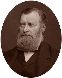 William Edward Forster MP, 1878. od Lock and Whitfield