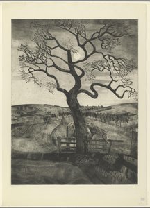 Kůň na louce poblíž Etikhove Vieux cheval en repos (původní název) od Lodewijk Schelfhout (signed by artist)