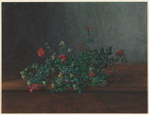 Zátiší s divokými květinami, 1864. od Léon Bonvin