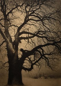 Léon Spilliaert (1881-1946) Strom v zimě Brafa 2019 31-01-2019 od Leon Spilliaert