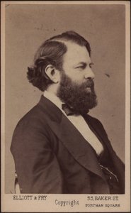 Portrét houslisty a skladatele Josepha Joachima 1831-1907, c. 1875. od London . Photo studio Elliott and