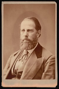 Portrét Williama Haydena English 1822-1896, před rokem 1876. od Lorenzo Dow Judkins