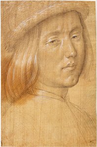 Vedoucí mládeže od Lorenzo di Credi