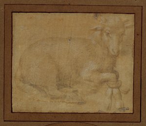 Studie jehněte ... od Lorenzo di Credi