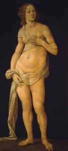 Venuše od Lorenzo di Credi