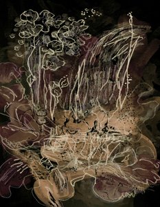 Orchid Bloom Midnight Mocha od Lori Ann Folz
