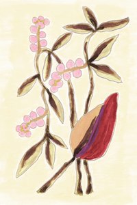 Pink Berry Botanicals od Lori Ann Folz