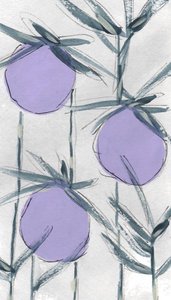 Fialové botanické plody