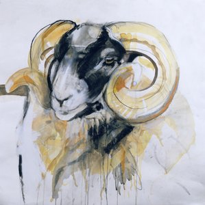 Long Horn Sheep (smíšená média)