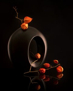 Černá váza Orange Botanicals
