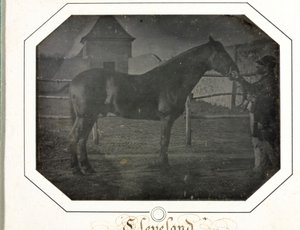 Cleveland od Louis Auguste Bisson