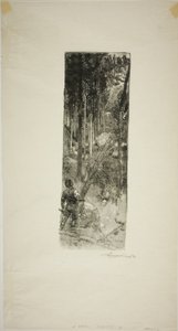 Falling Pines od Louis Auguste Lepère