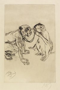 Srovnávací anatomie od Louis Auguste Mathieu Legrand