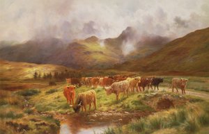 Highland Drove ve Strathfillanu, Perthshire