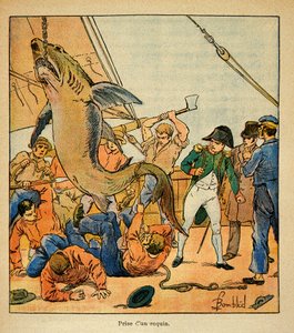 Ilustrace Bombled Louis (1862-1927) z knihy „Památník sv. Heleny“ od hraběte Emmanuela de Las Cases (1766-1842): Císař Napoleon se účastní zachycení žraloka na palubě Northumberland, Soukromá sbírka od Louis Charles Bombled