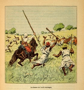 Válka na Madagaskaru - neoficiální historie francouzských expedic 1885-1895 od Henri Galli dit Galllichet (1854-1922), ilustrované Louisem Bombledem (1862-1927): Lov divokých volů na Madagaskaru v roce 1895, Soukromá sbírka od Louis Charles Bombled