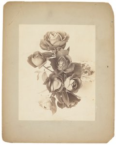 Tiffany Studios, cca 1898-1920 (fotografie č/b) od Louis Comfort Tiffany