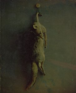 Fox, ca. 1870. od Louis Ducos du Hauron