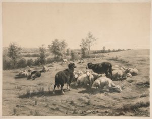 Ovce od Louis Emmanuel Soulange-Teissier