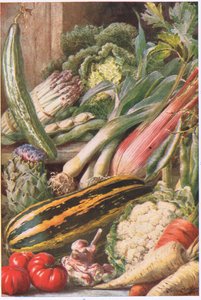 Garden Vegetables, ilustrace z 