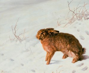 Zajíc ve sněhu, 1875 od Louis Ferdinand von Rayski