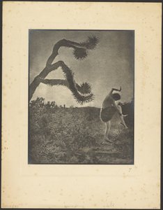 Apache tanec
