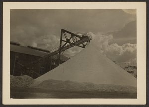 [Borax Mill, Trova, CA] od Louis Fleckenstein