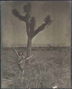 [Tanečnice v Joshua Tree]