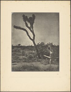 [Tanečnice v Joshua Tree] od Louis Fleckenstein