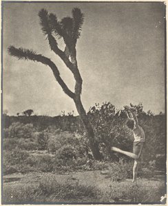 [Tanečník u Joshua Tree] od Louis Fleckenstein