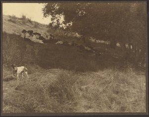 [Skupinová fotografie „Odpočinek na poli se psem“] od Louis Fleckenstein
