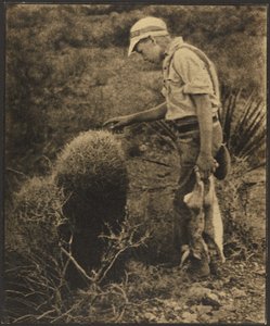  od Louis Fleckenstein