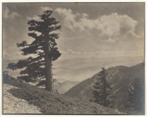 [Na hřebeni k Old Baldy] od Louis Fleckenstein