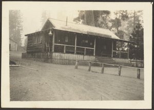 [Pine Knot Store] od Louis Fleckenstein