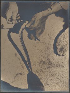  od Louis Fleckenstein
