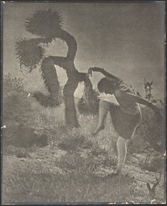  od Louis Fleckenstein