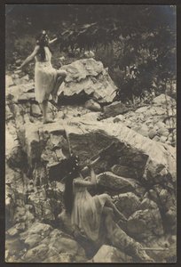 Tanec skal