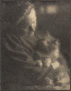 Domácí angora od Louis Fleckenstein