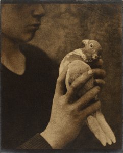 Unavený posel od Louis Fleckenstein