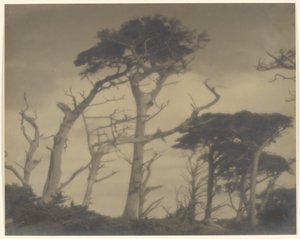 Twin Brothers - Carmel od Louis Fleckenstein