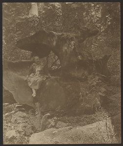  od Louis Fleckenstein