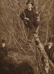 Muž seděl na stromě, 1937
