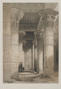 Egypt and Nubia, Volume I: View under the Grand Portico of the Temple, Philae, 1846. od Louis Haghe