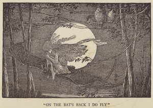 Na hřbetě netopýrů létám od Louis John Rhead