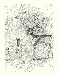 Jelen a jeho matka (litografie) od Louis John Rhead