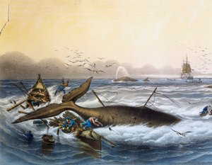 Lov velryb v jižních mořích, barevná litografie Louis Lebreton (zemřel 1866)