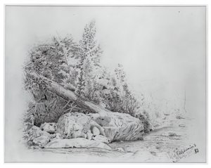 Fallen Tree, Keene Valley, 25. července 1883. od Louis Michel Eilshemius
