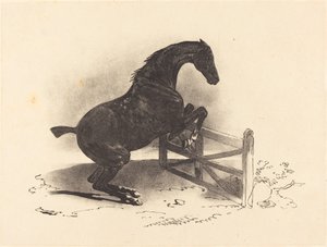 Kůň skáče přes bariéru od Louis Pierre Marie Courtin after Théodore Gericault